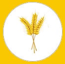 Produse Agricole